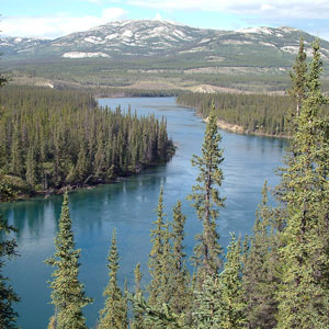 yukon_river.jpg